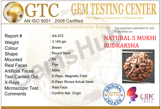 5 Mukhi Certified Nepali Rudraksha